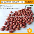 Buy high quality four red skin peanuts